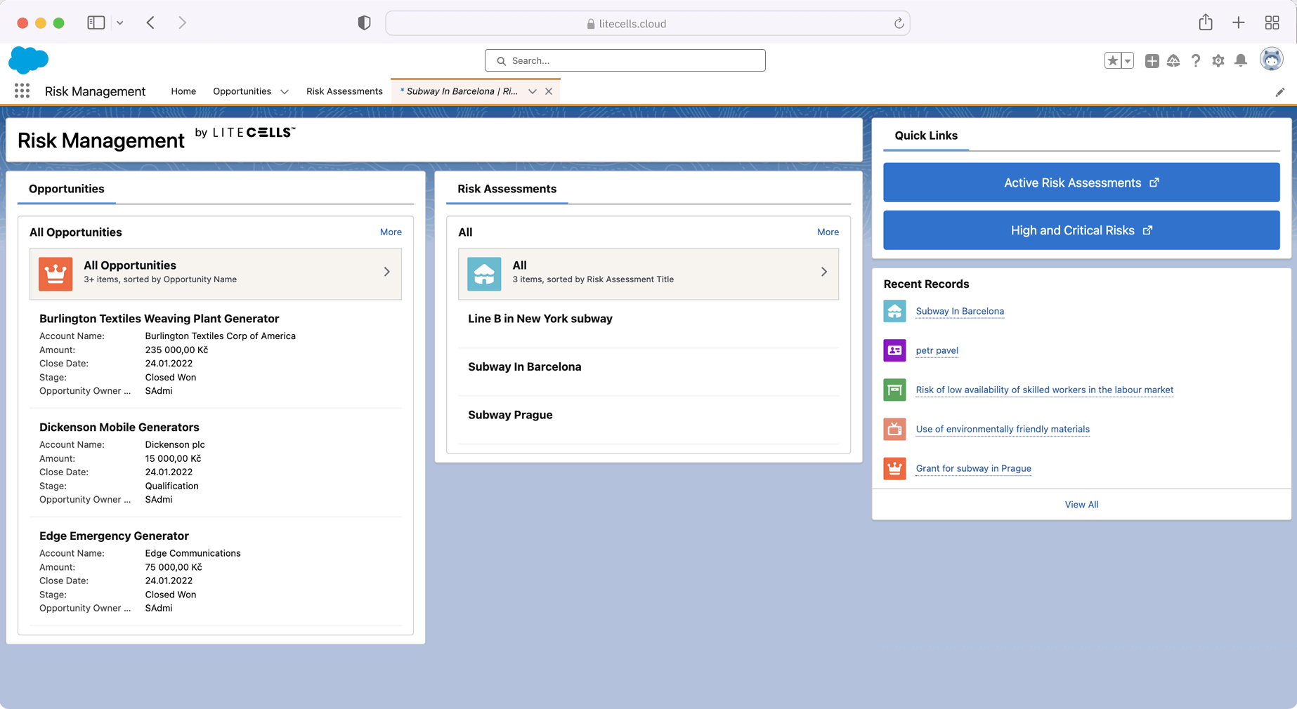 Risk Management in salesforce with Litecells